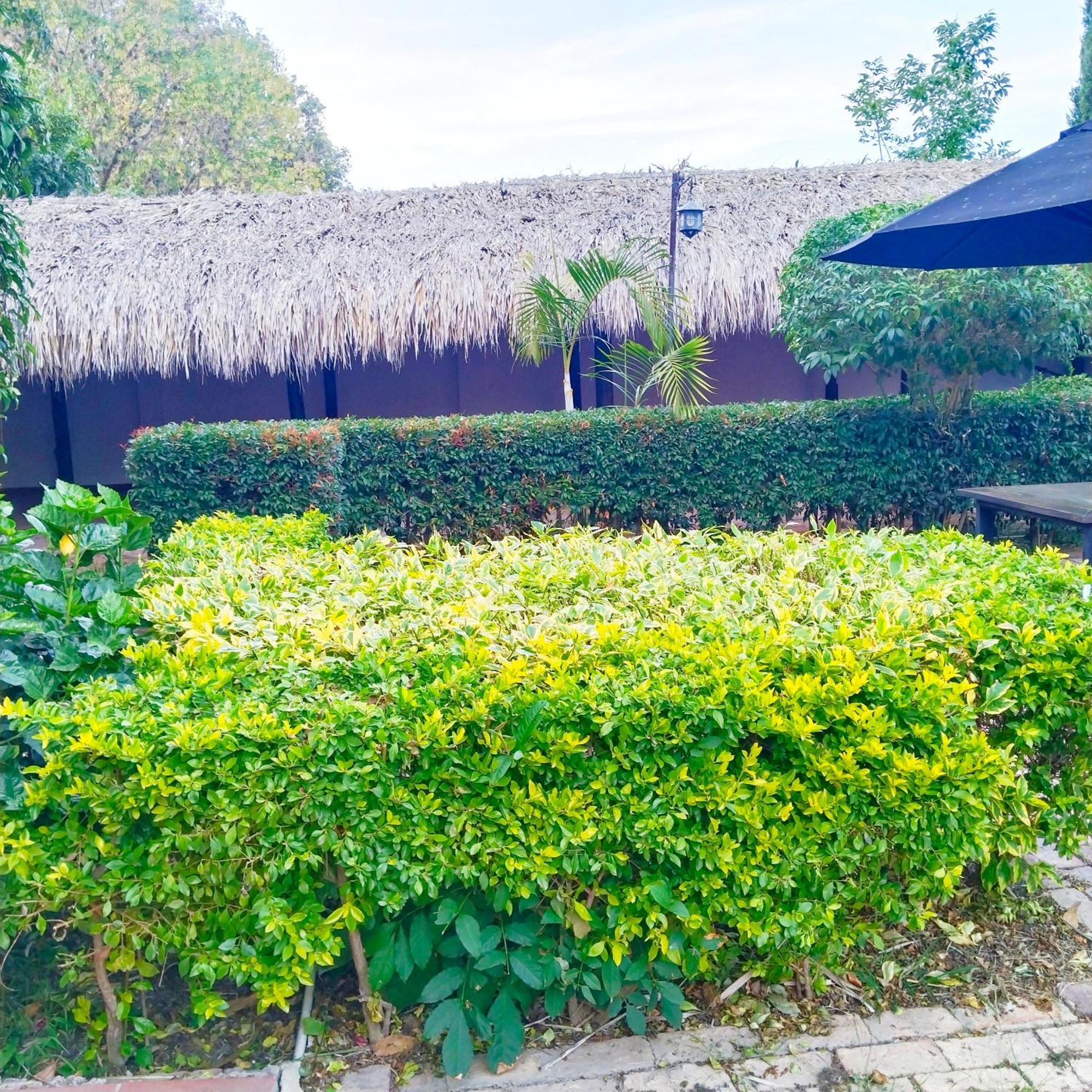 Hostal Balcon De Anita Rancho Tranquera فيلا دي ليفا المظهر الخارجي الصورة